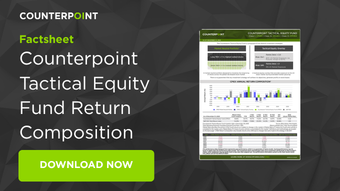 Counterpoint Tactical Equity Fund Return Composition